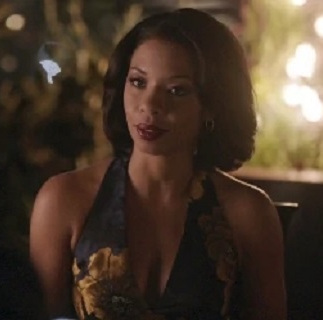 菜鸟老警第一季LunaGrey