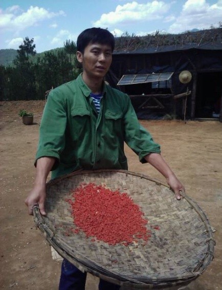 杨善洲周波