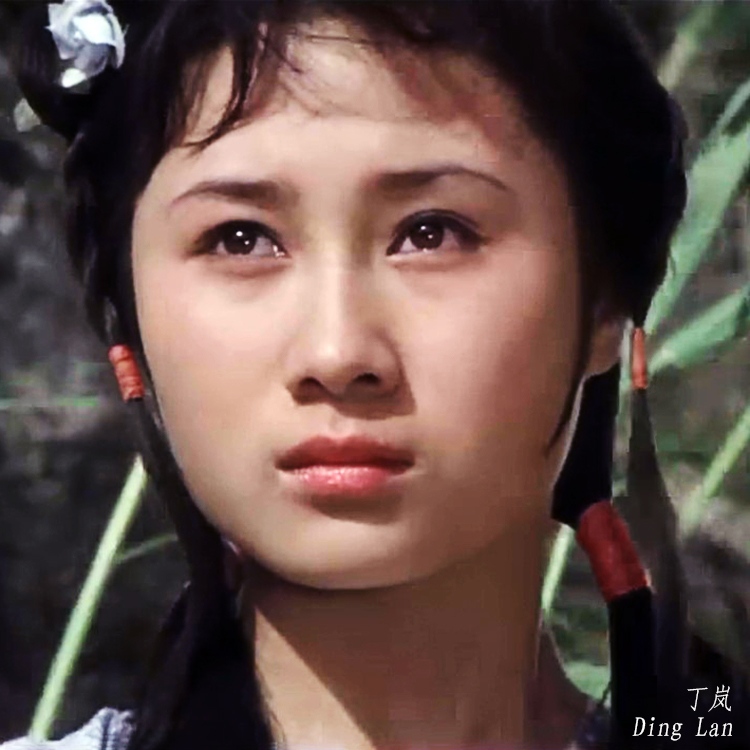 少林小子二凤
