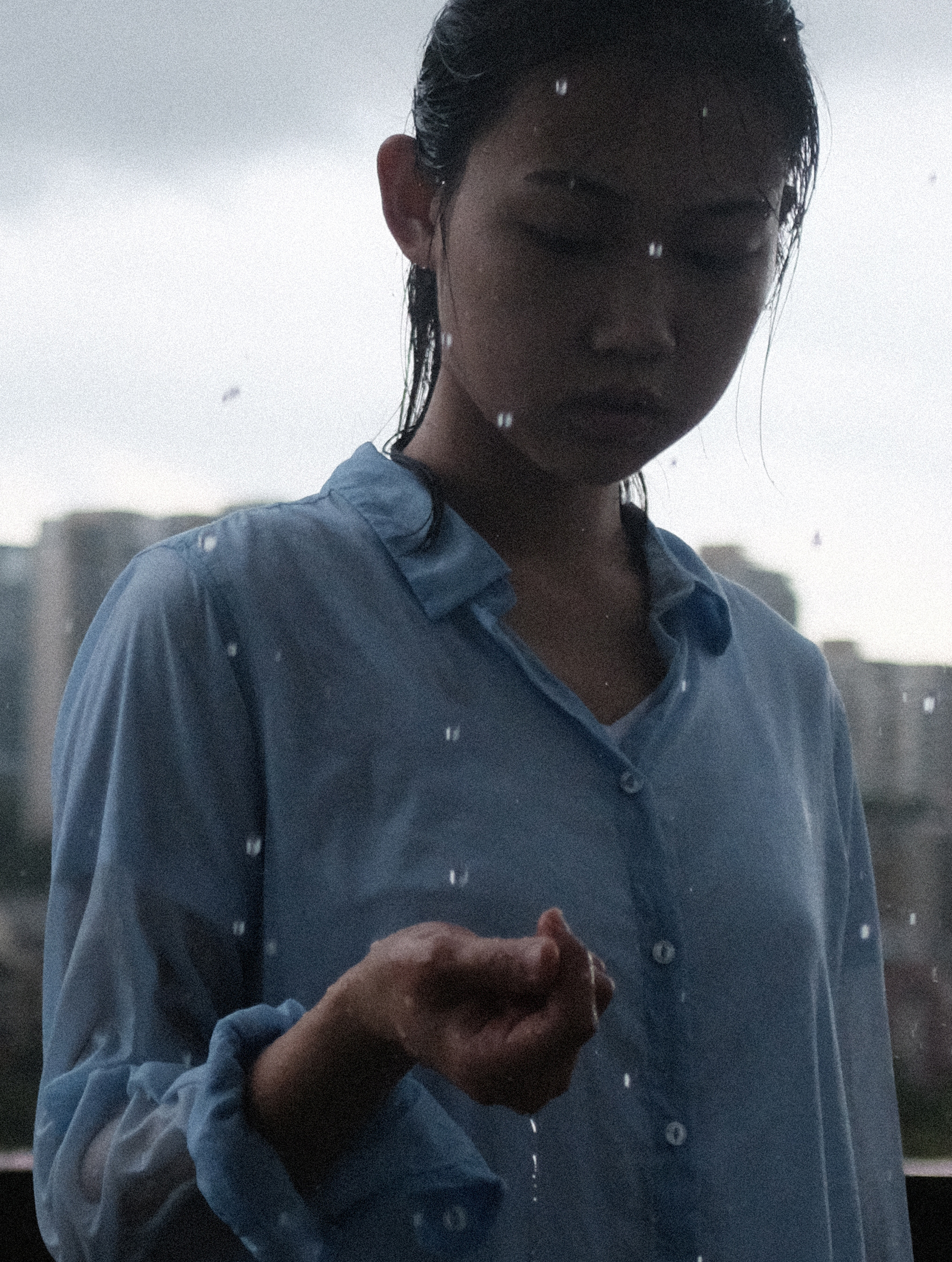 回南天杜鹃
