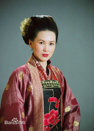 少年杨家将佘赛花