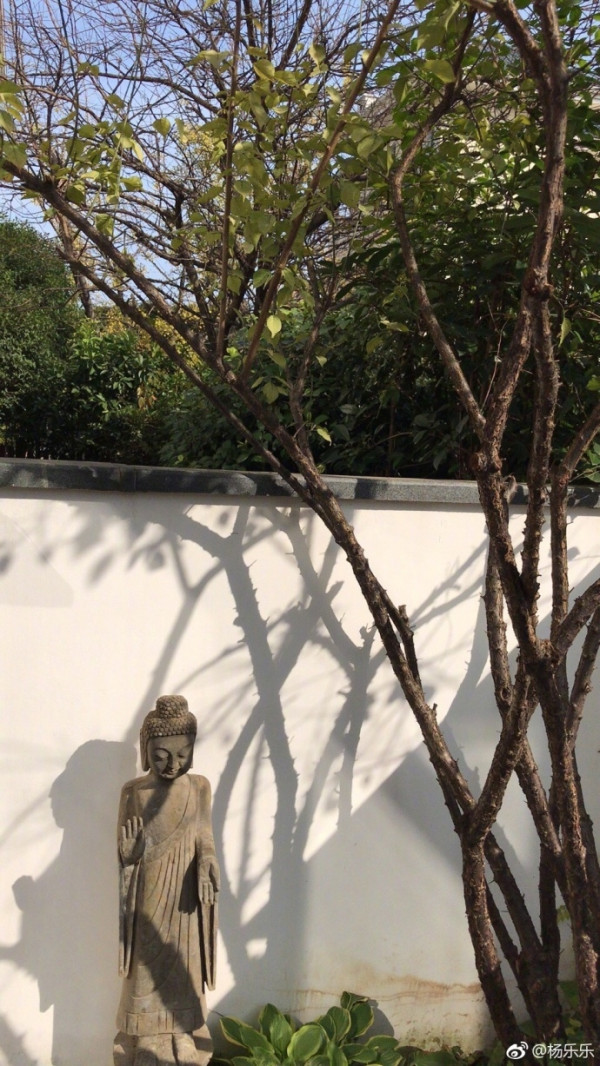 第2张图片