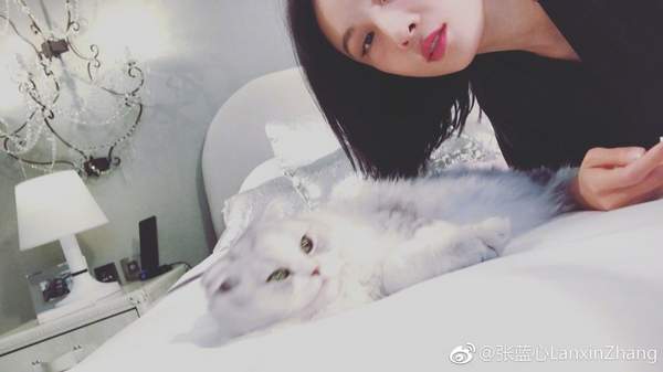 第2张图片