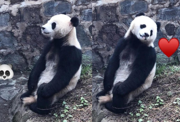 第5张图片