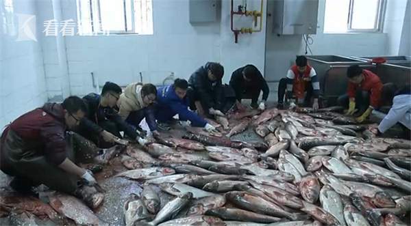 第3张图片