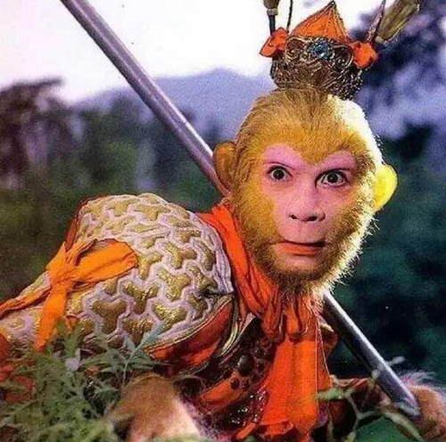 第8张图片