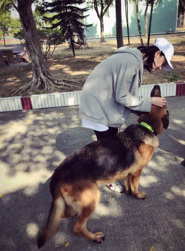 第5张图片