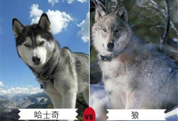 第2张图片