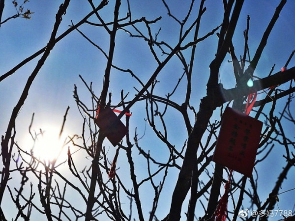 第8张图片