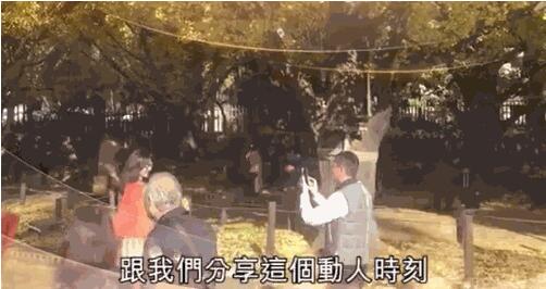 第2张图片
