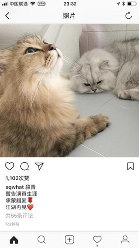 第2张图片
