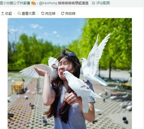 第3张图片