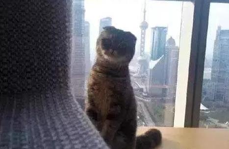 第7张图片