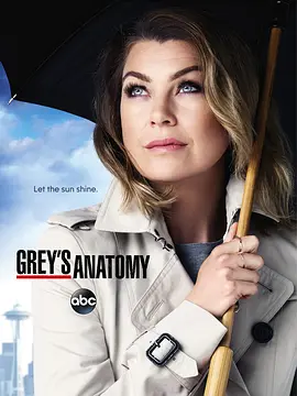 实习医生格蕾第十二季Grey&#039;sAnatomySeason12