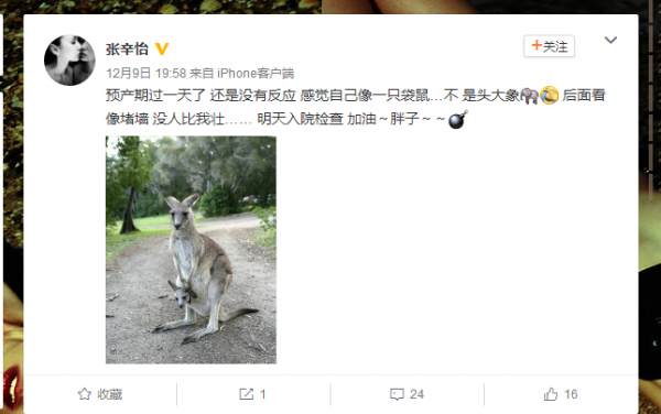 第13张图片