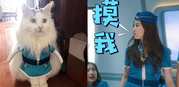第9张图片