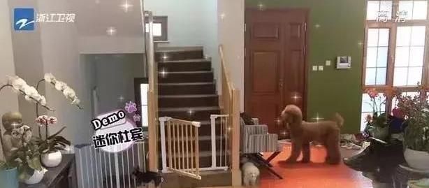 第30张图片